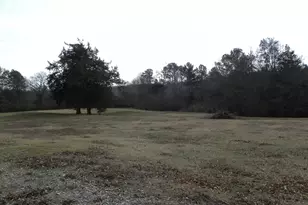 551 P S Rd, Toccoa, GA 30577 - Photo 117