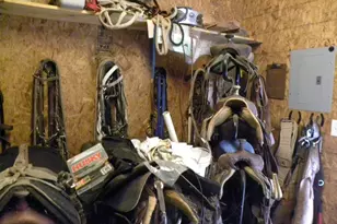 551 P S Rd, Toccoa, GA 30577 - Photo 83