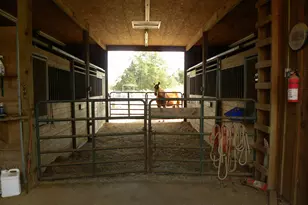 551 P S Rd, Toccoa, GA 30577 - Photo 75