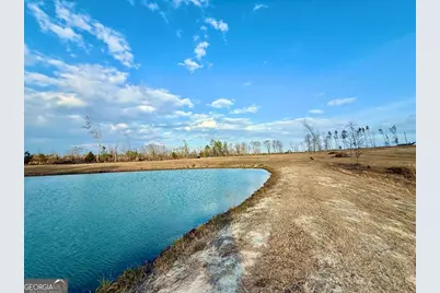 79 Hester Road, Hazlehurst, GA 31539 - Photo 17