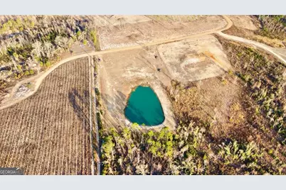 79 Hester Road, Hazlehurst, GA 31539 - Photo 21