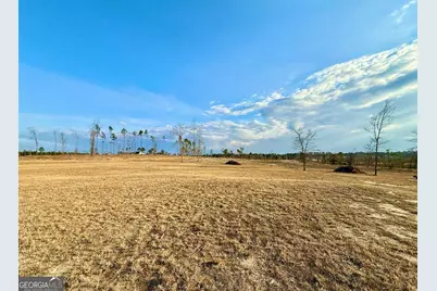 79 Hester Road, Hazlehurst, GA 31539 - Photo 19