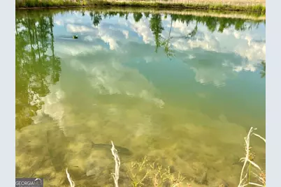 79 Hester Road, Hazlehurst, GA 31539 - Photo 9