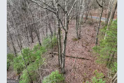 Lt M57 Walnut Mountain Court, Ellijay, GA 30536 - Photo 9