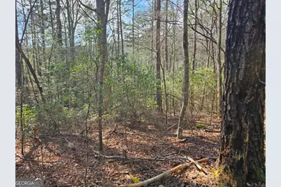 Lot 77 Roaring Forks Lane #77, Ellijay, GA 30540 - Photo 17