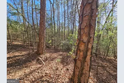 Lot 77 Roaring Forks Lane #77, Ellijay, GA 30540 - Photo 15