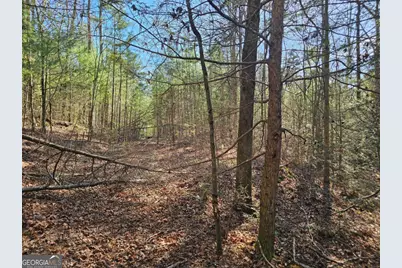 Lot 77 Roaring Forks Lane #77, Ellijay, GA 30540 - Photo 9