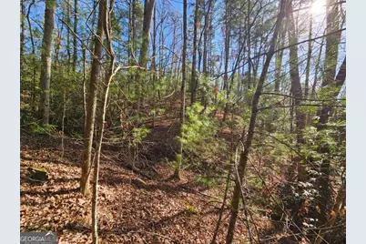 Lot 77 Roaring Forks Lane #77, Ellijay, GA 30540 - Photo 13