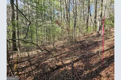 Lot 77 Roaring Forks Lane #77, Ellijay, GA 30540 - Photo 19