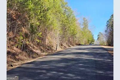 Lot 77 Roaring Forks Lane #77, Ellijay, GA 30540 - Photo 5