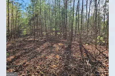 Lot 77 Roaring Forks Lane #77, Ellijay, GA 30540 - Photo 21