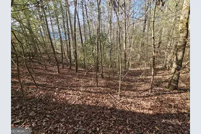 Lot 77 Roaring Forks Lane #77, Ellijay, GA 30540 - Photo 1