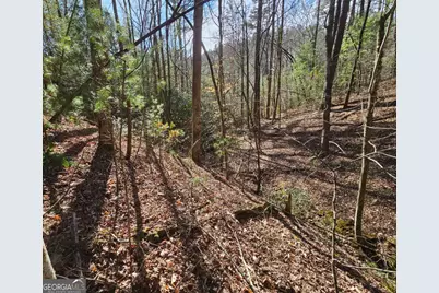 Lot 77 Roaring Forks Lane #77, Ellijay, GA 30540 - Photo 11