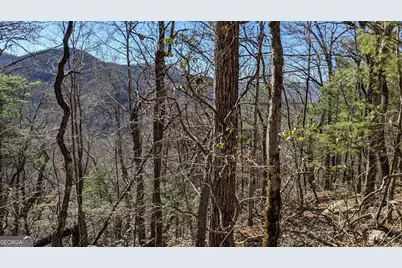 0 Lot 111 Ridgepole Drive Drive, Sky Valley, GA 30537 - Photo 17