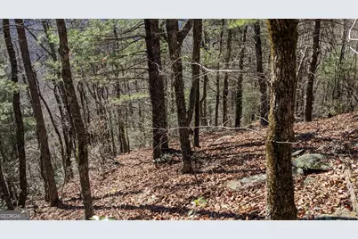 0 Lot 111 Ridgepole Drive Drive, Sky Valley, GA 30537 - Photo 21