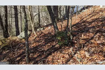 0 Lot 111 Ridgepole Drive Drive, Sky Valley, GA 30537 - Photo 5