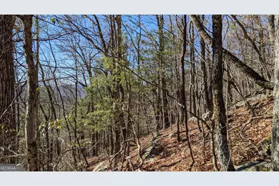 0 Lot 111 Ridgepole Drive Drive, Sky Valley, GA 30537 - Photo 15