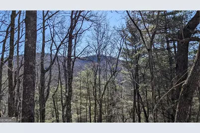 0 Lot 111 Ridgepole Drive Drive, Sky Valley, GA 30537 - Photo 13