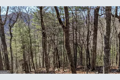 0 Lot 111 Ridgepole Drive Drive, Sky Valley, GA 30537 - Photo 11