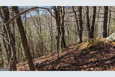 0 Lot 111 Ridgepole Drive Drive, Sky Valley, GA 30537 - Photo 19