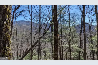 0 Lot 111 Ridgepole Drive Drive, Sky Valley, GA 30537 - Photo 1