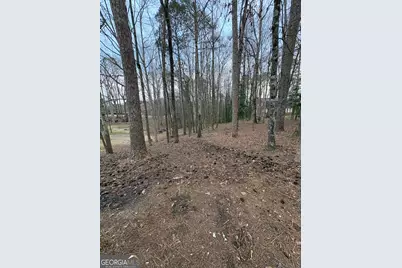 0 Azalea Drive, Fairburn, GA 30213 - Photo 3