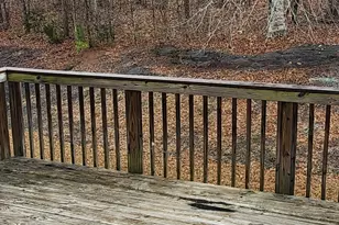 3288 Wolf Club Ln, South Fulton, GA 30349 - Photo 25