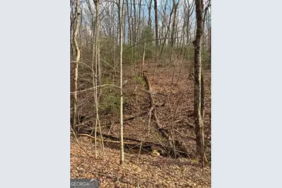 0 Paradise Lane, Blue Ridge, GA 30513 - Photo 7