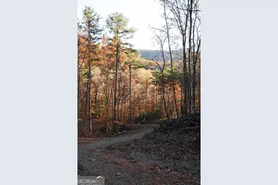 0 Paradise Lane, Blue Ridge, GA 30513 - Photo 1
