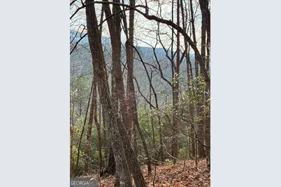0 Paradise Lane, Blue Ridge, GA 30513 - Photo 15