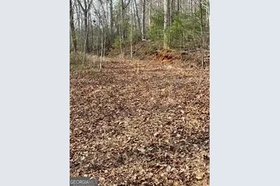 0 Paradise Lane, Blue Ridge, GA 30513 - Photo 5