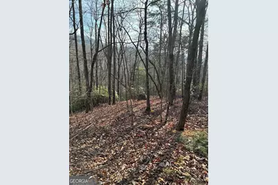 0 Paradise Lane, Blue Ridge, GA 30513 - Photo 9