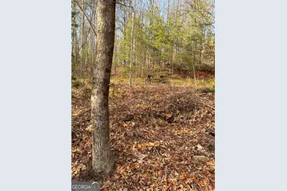 0 Paradise Lane, Blue Ridge, GA 30513 - Photo 11