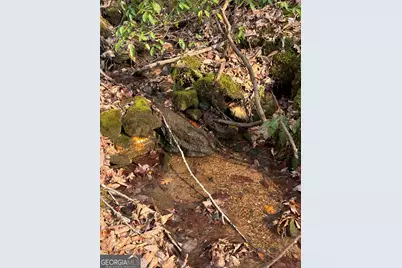 0 Paradise Lane, Blue Ridge, GA 30513 - Photo 3