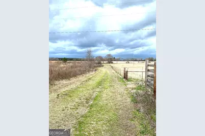 0 Allen Ranch Road, Chester, GA 31012 - Photo 5