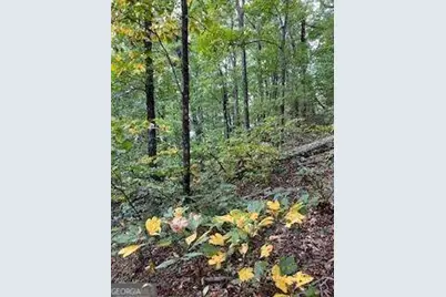 257 Andes Ridge, Jasper, GA 30143 - Photo 23