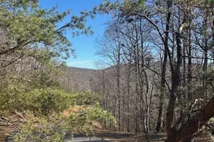 257 Andes Ridge, Jasper, GA 30143 - Photo 1