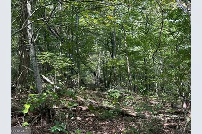 257 Andes Ridge, Jasper, GA 30143 - Photo 11