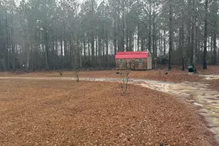 2648 Orphans Cemetery Rd, Eastman, GA 31023 - Photo 31