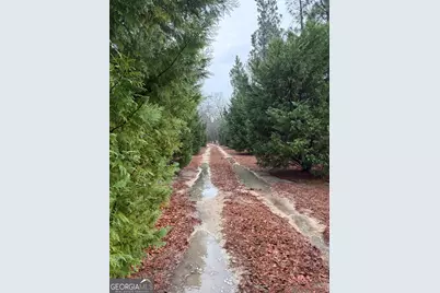 2648 Orphans Cemetery Road, Eastman, GA 31023 - Photo 33