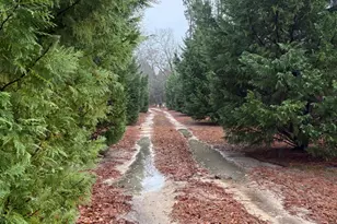 2648 Orphans Cemetery Rd, Eastman, GA 31023 - Photo 33