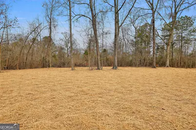 473 Hill Haven Road, Greenville, GA 30222 - Photo 31