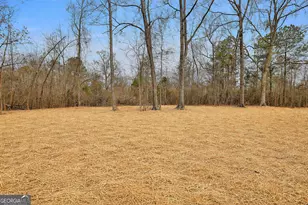 473 Hill Haven Rd, Greenville, GA 30222 - Photo 31