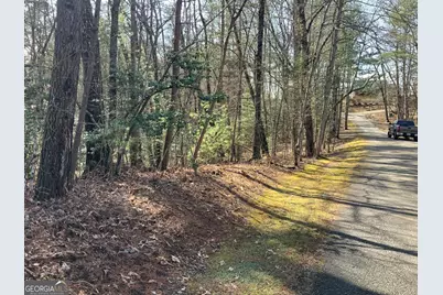 (3) Rizzitello Ln, Blairsville, GA 30512 - Photo 5