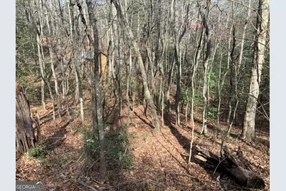 (3) Rizzitello Ln, Blairsville, GA 30512 - Photo 7