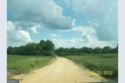 650 Howard Farm Road, Vienna, GA 31092 - Photo 3