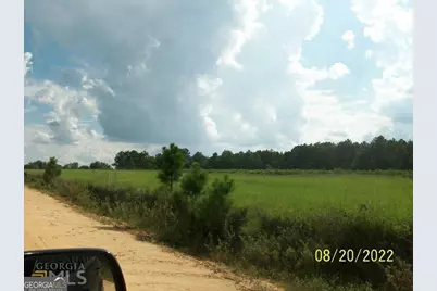 650 Howard Farm Road, Vienna, GA 31092 - Photo 11