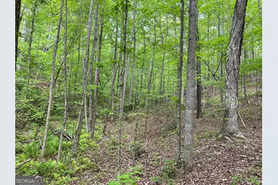 0 Everett Springs Road, Armuchee, GA 30105 - Photo 9