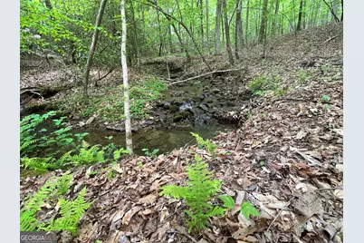 0 Everett Springs Road, Armuchee, GA 30105 - Photo 5