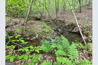 0 Everett Springs Road, Armuchee, GA 30105 - Photo 1